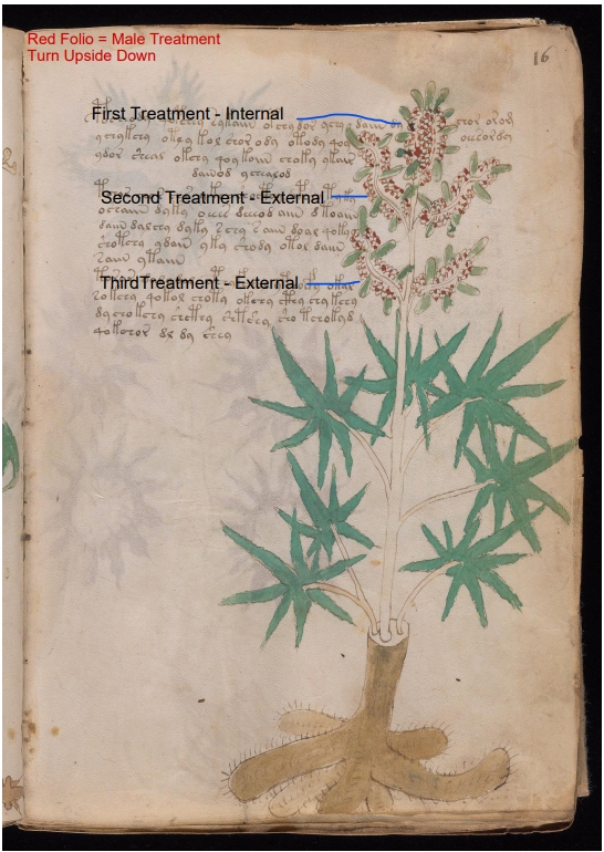 Secondary labelled diagram of Folio 16r